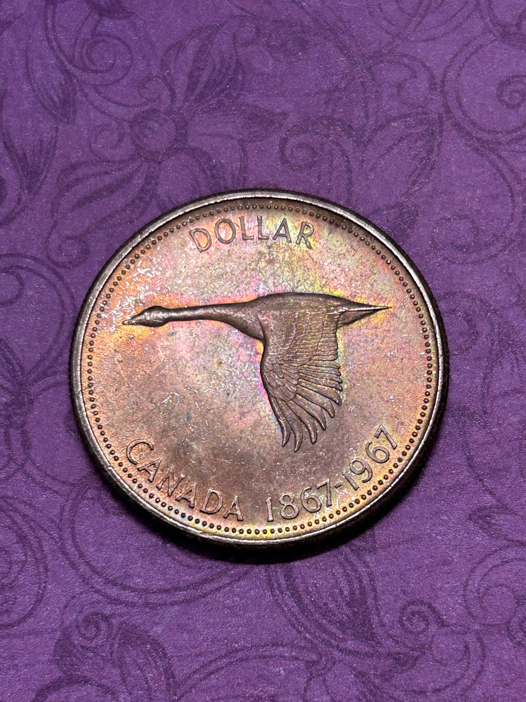 Beautifully Toned Canadian Centennial Silver Dollar