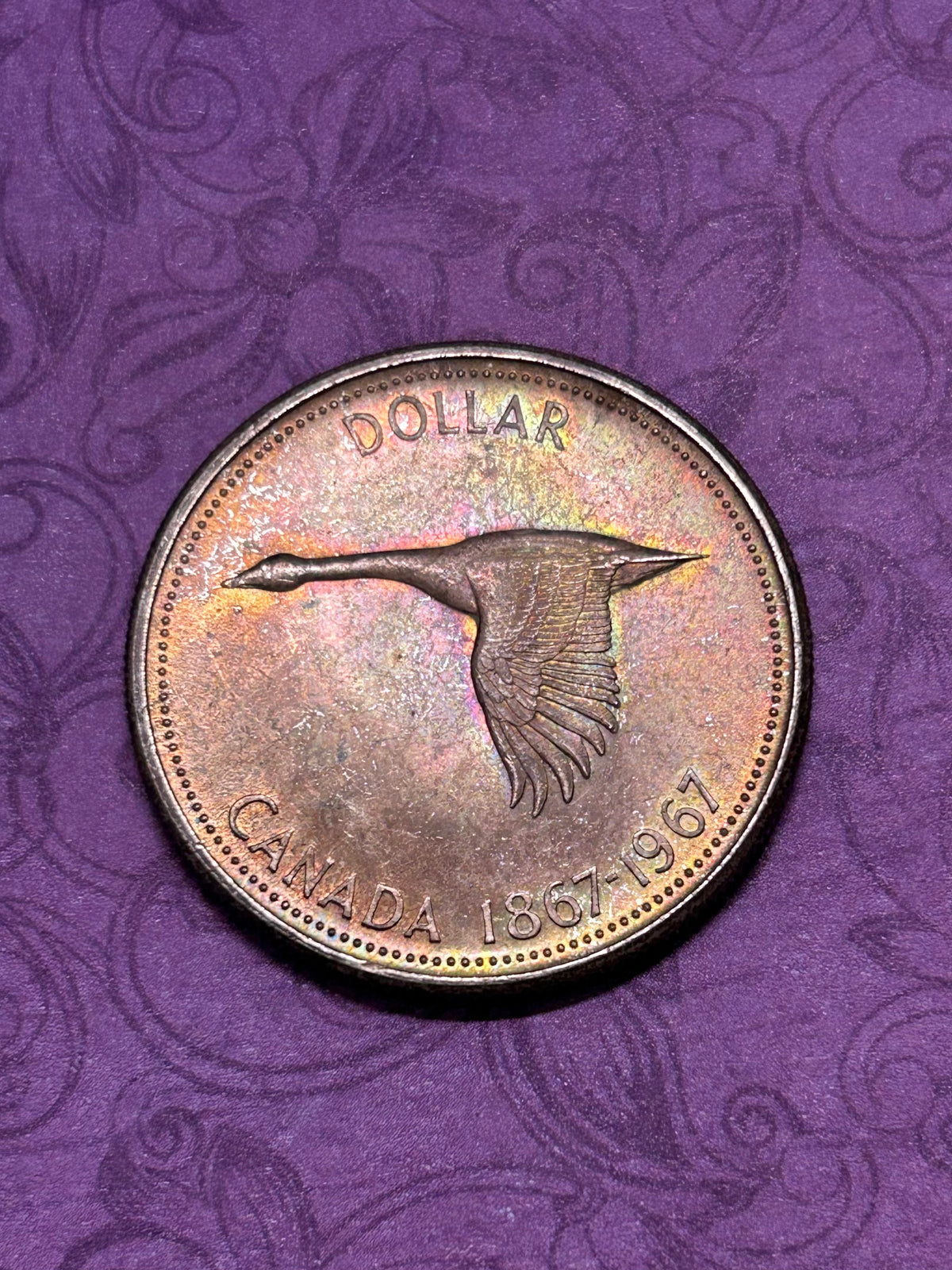 Beautifully Toned Canadian Centennial Silver Dollar
