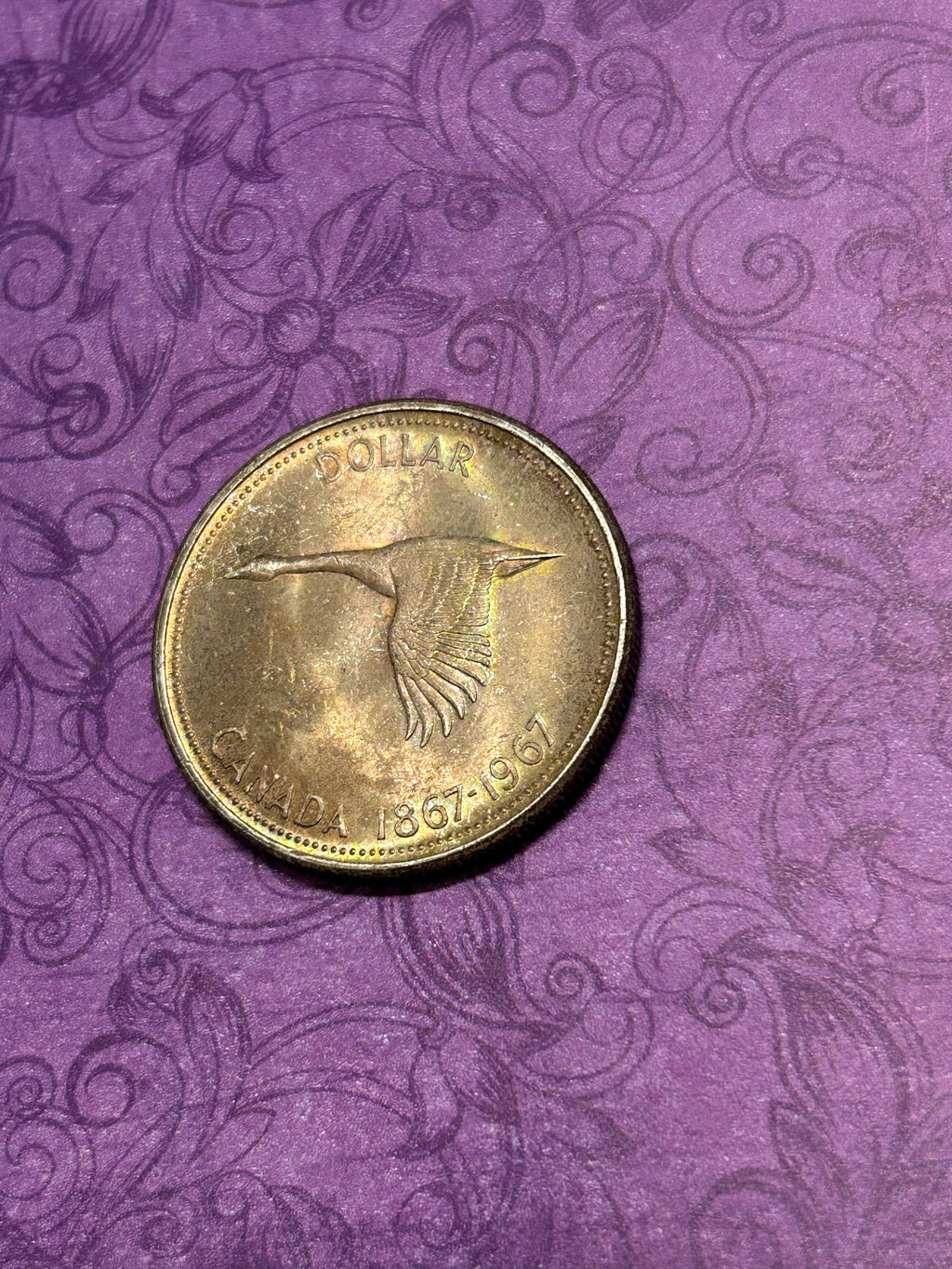 Beautifully Toned Canadian Centennial Silver Dollar