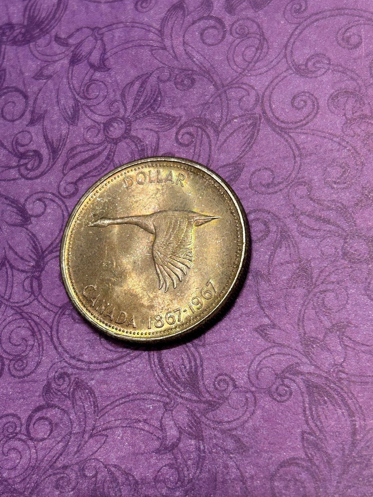 Beautifully Toned Canadian Centennial Silver Dollar