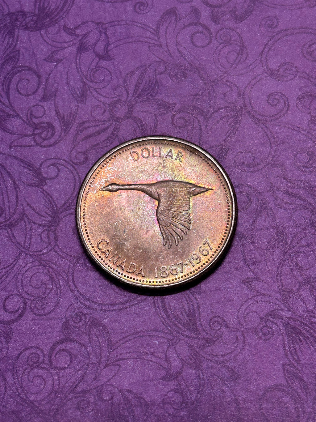 Beautifully Toned Canadian Centennial Silver Dollar