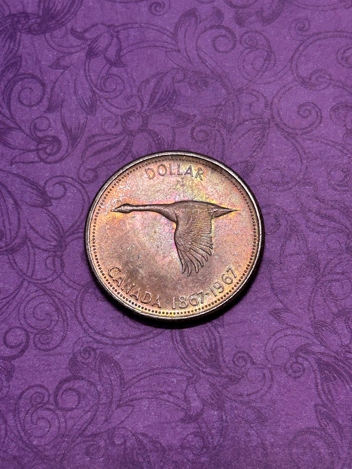 Beautifully Toned Canadian Centennial Silver Dollar