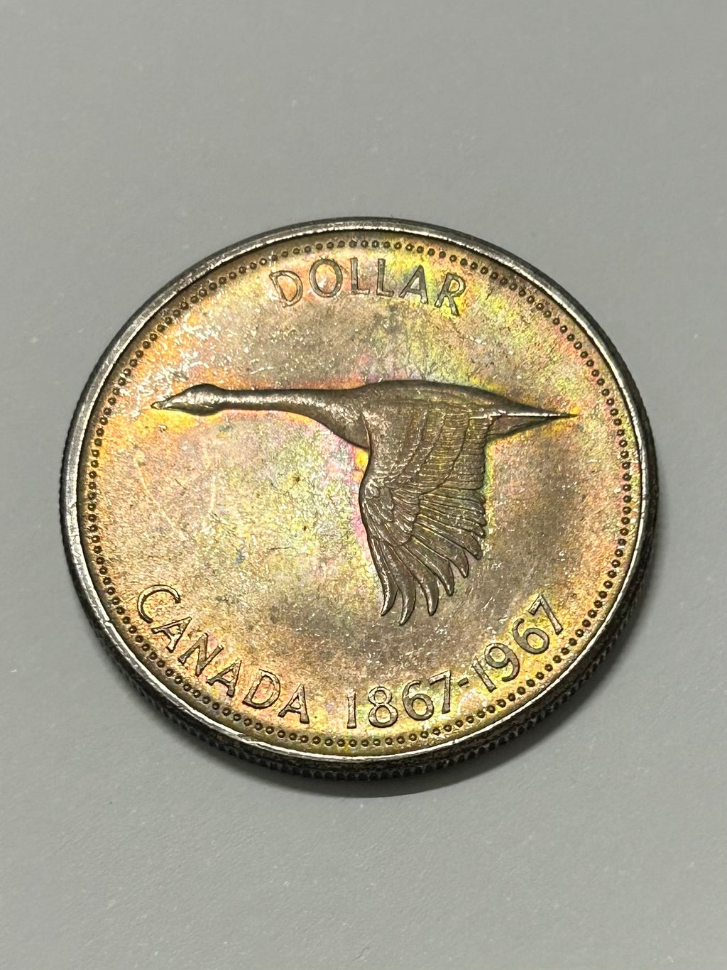 Beautifully Toned Canadian Centennial Silver Dollar