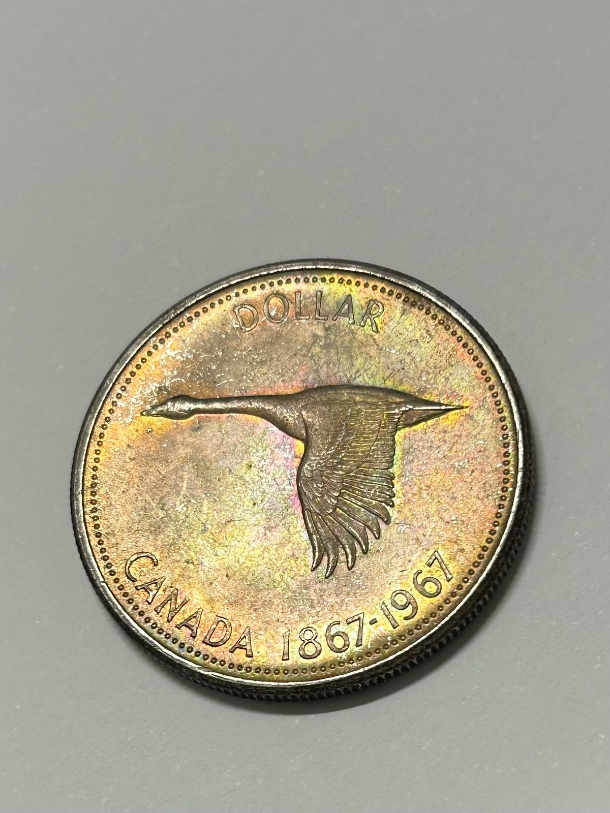 Beautifully Toned Canadian Centennial Silver Dollar