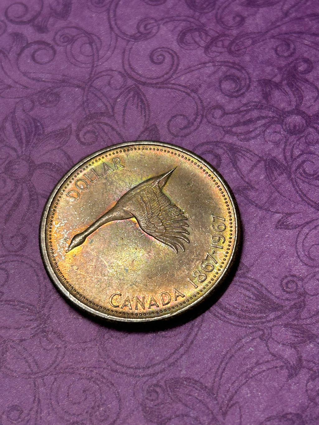 Beautifully Toned Canadian Centennial Silver Dollar